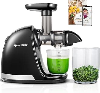 AMZCHEF Juicer Machines - Cold Press Slow Juicer - Masticating Juicer for Whole Fruits and Vegetables - Delicate Chew No Need to Filter - BPA Free Juice Extractor with 2 Cups and Brush - Black