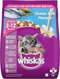 Whiskas Kitten (2-12 months) Dry Cat Food, Ocean Fish Flavour with Milk, 3kg Pack (packaging may vary)