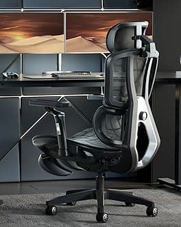 AutoFull G5 Ergonomic Office Chair with 6D Lumbar Support, 360° Adjustable Armrest, Reclining Computer Mesh Chair with Footrest, Sliver