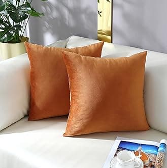 mixeoo Comfy Terracotta Throw Pillow Covers Decorative Square Solid Thick Velvet Super Soft Cushion Cases Home Decor for Sofa Couch Living Room Chair, Set of 2, 20 x 20 Inch