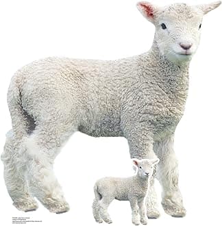 Star Cutouts SC4438 Lamb Farm Animal Cardboard Cut Out Height 74cm