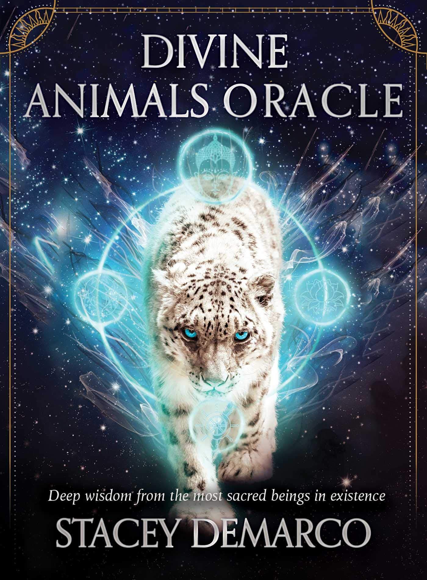 Divine Animals Oracle: Deep wisdom from the most sacred beings in existence (Rockpool Oracle Card Series)