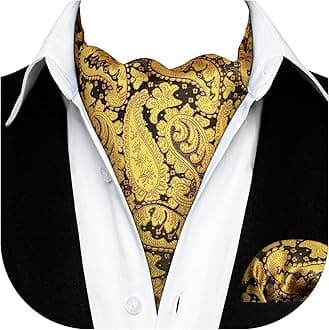 Cravat for Men Silk Paisley Mens Cravat and Pocket Square Set Polka Dot Ascot Tie and Handkerchief for Wedding Party Christmas