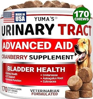 Dog UTI Chews - 170 Treats - Cranberry Supplement for Dogs - Bladder Control - Digestion & Immune Support - Urinary Tract Health - Multivitamin - Vitamins and Supplements - Made in USA