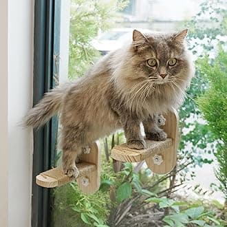 PETKARAY Cat Window Perch Stairs - Durable Seat for Sill, Sturdy Step for Indoor Cats
