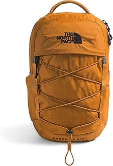 The North Face unisex-adult Borealis Mini Backpack Daypack