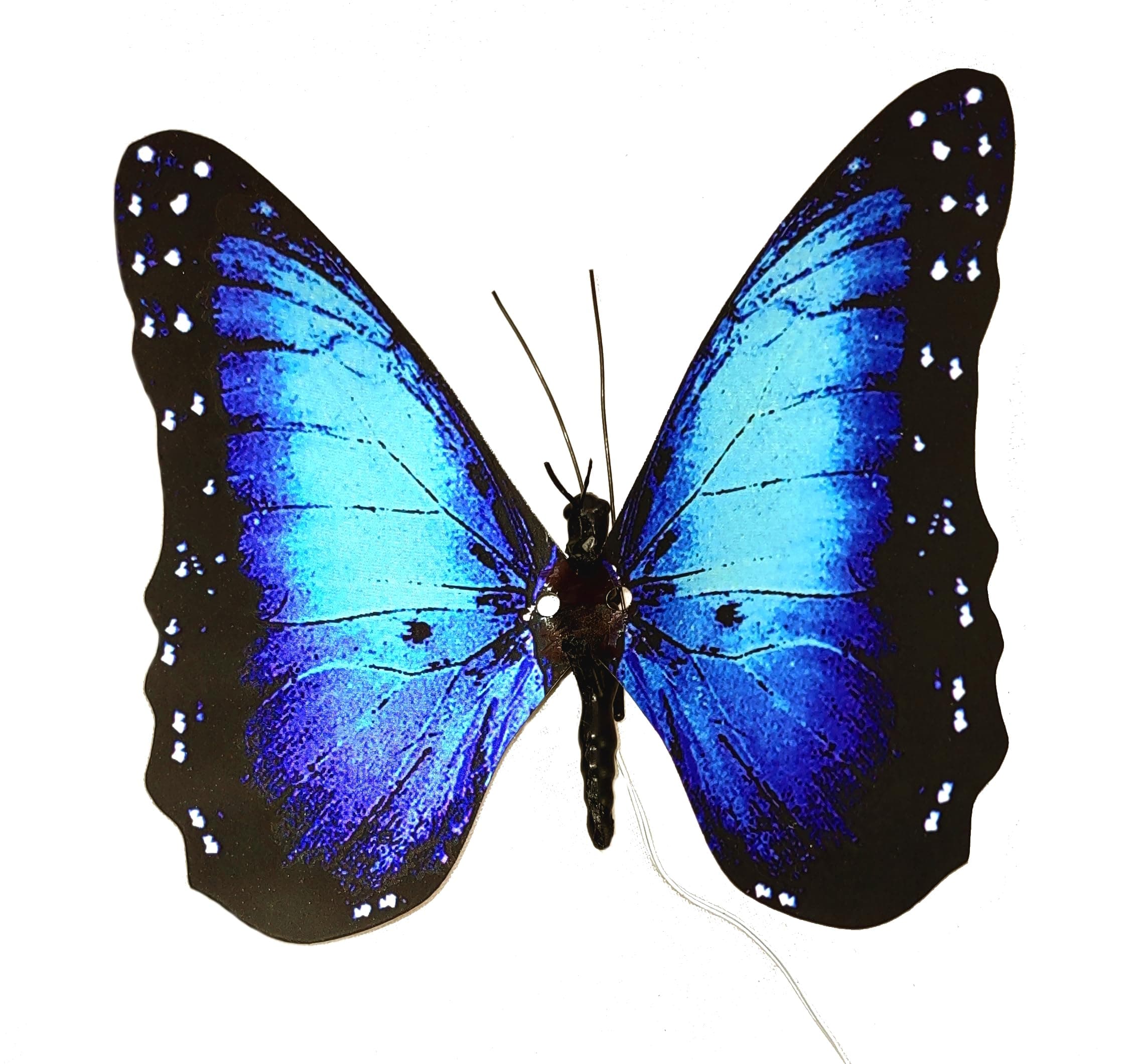 Flexinol Moving Butterfly (Blue Morpho)