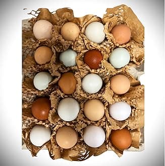 Free to Range Hen Eggs (8)