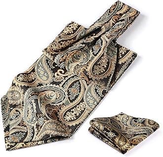 HISDERN Cravat for Men Paisley Floral Cravats Handkerchief Jacquard Wedding Ascot Tie & Pocket Square Set