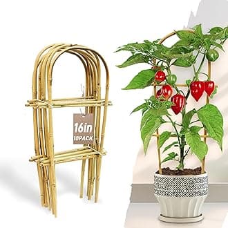 Avalution 10 Pack Bamboo U Trellis for Climbing Plants, 16 Inch Garden Ladder Trellis for Potted Plants Indoor, Ladder Small Plant Support Trellis for Houseplants Ivy Hoya Vine Monstera