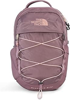 THE NORTH FACE 10L Mini Borealis Everyday Backpack, Fawn Grey/Pink Moss, One Size