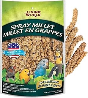 Millet Spray for Birds, 7 Oz – Premium Treat for Budgies, Canaries, Finches, Cockatiels and Other Pet Birds