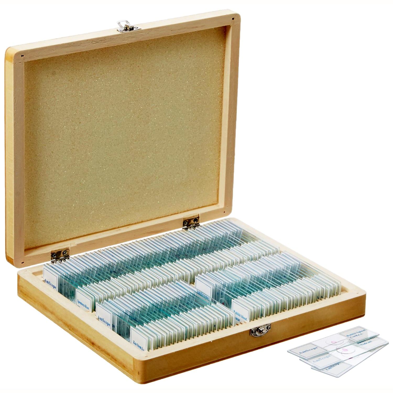 AmScope PS100A Prepared Microscope Slide Set for Basic Biological Science Education, 100 Slides, Set A, Includes Fitted Wooden Case