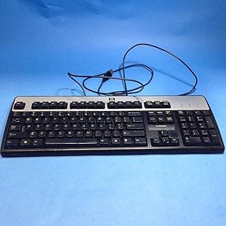 Keyboard HP KU-0316 USB Previously Owned Very Clean