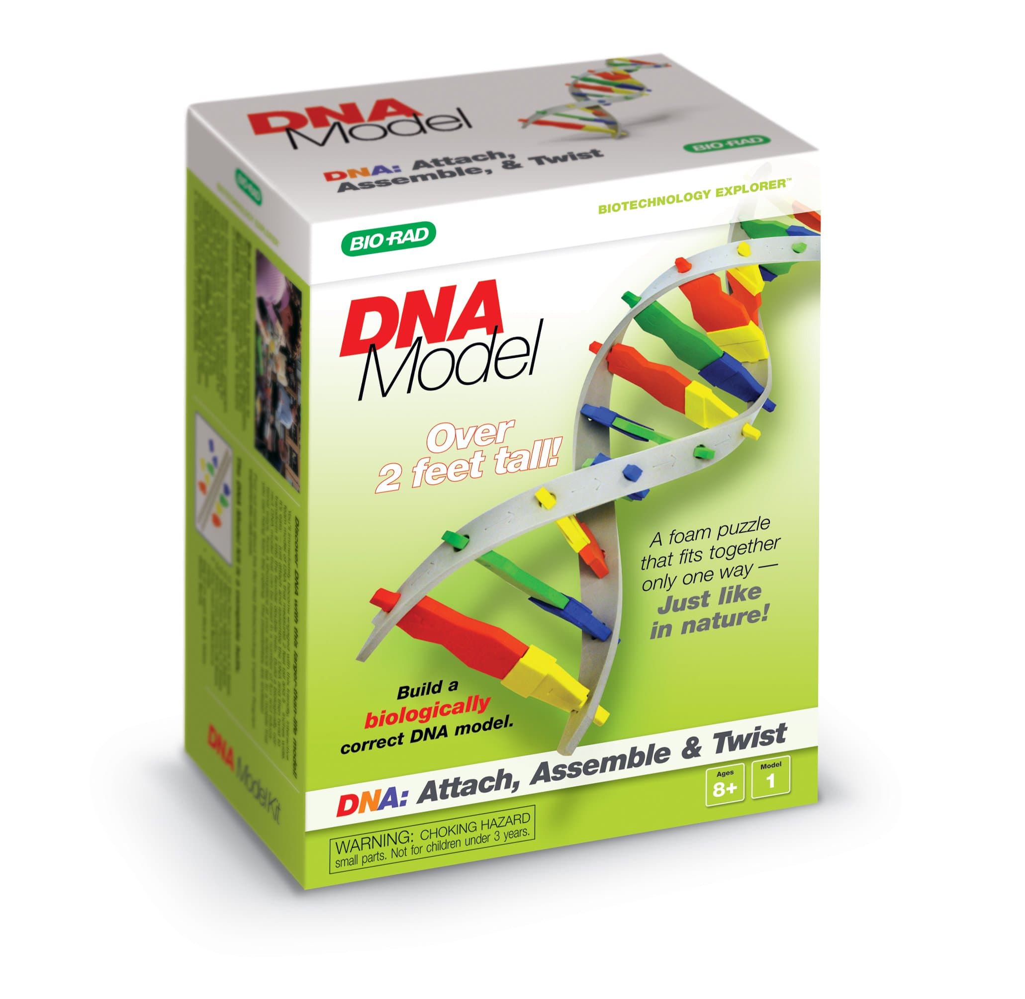 DNA Model Kit