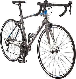Schwinn Fastback Carbon Road Bike