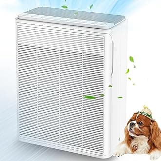 AIUZLK Air Purifiers for Home Large Room Up to 2000 sqft,Powerful 24W Moter,For Pets Dander Hair Smoke Odor Wildfire,0.1 Micron H13 HEPA Filter,22dB Low Noise Bedroom,Room Air Purifiers