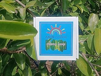 Natural Organic SOURSOP LEAVES Shadow DRIED - 100 Loose Leaves (100+50 Extra) - Graviola Annona Muricatta Lakshman Phal Mullu Seetha Ram Phal - 15 Days Pack