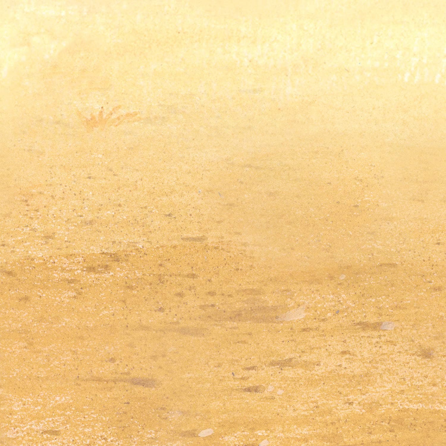 BeistleDesert Sand Backdrop Party Accessory (1 count) (1/Pkg)