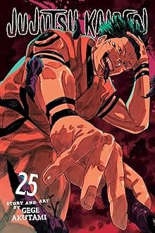 Jujutsu Kaisen 25: Volume 25