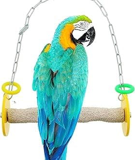 Sweet Feet and Beak Bird Swing - Pumice Perch Trims Nails and Beaks, Safe and Non-Toxic, For Small and Large Birds, 10.5 Inches