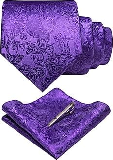 JEMYGINSMens Solid Color Paisley Necktie and Pocket Square with Tie Clip Sets