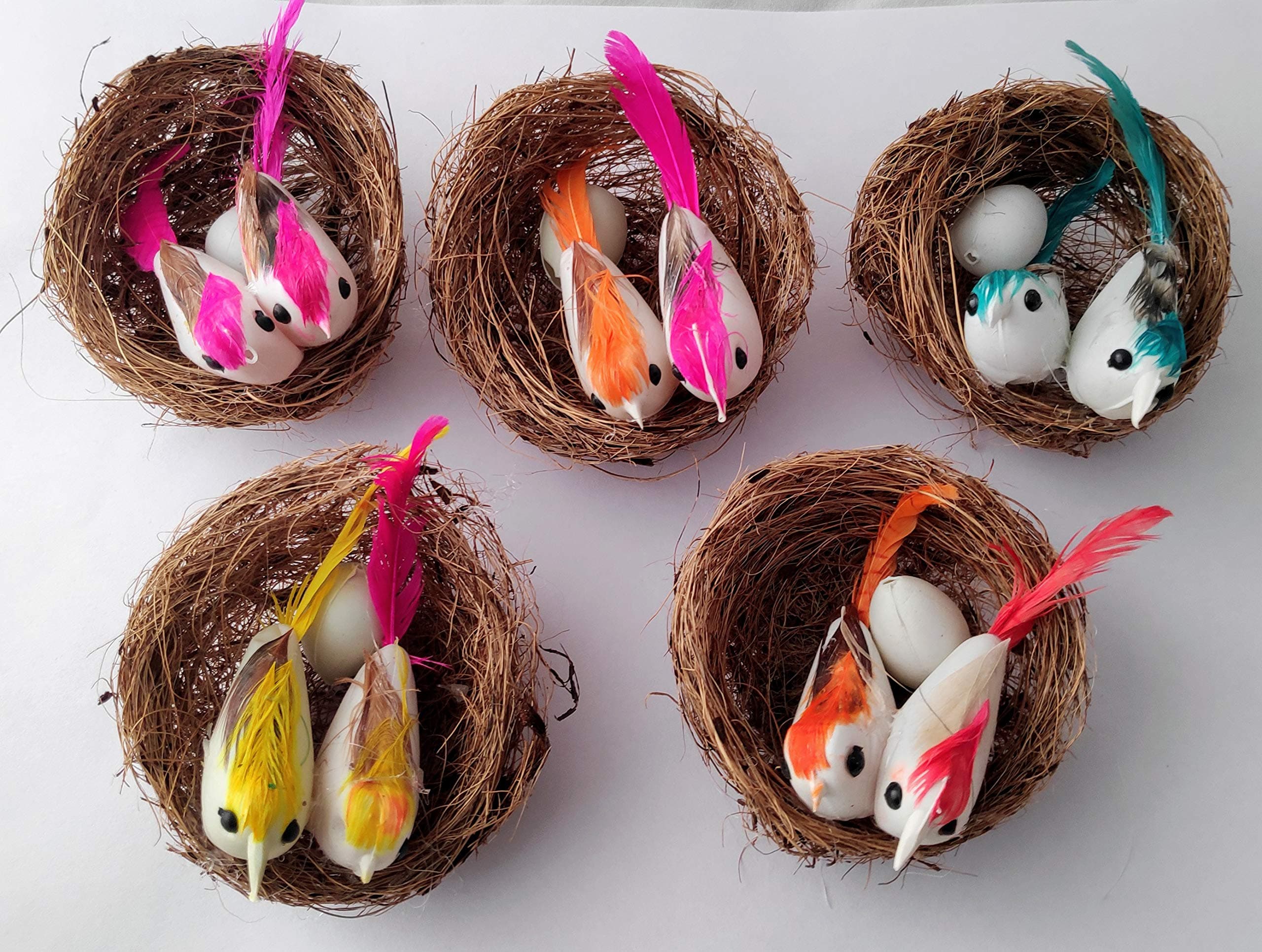 Artificial Mini Birds with Nest for School Projects/Model Making/DIY Crafts (Multicolour, Plastic, Pack of 5 Pcs)