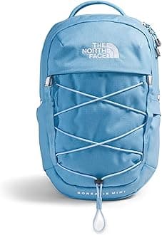 The North Face unisex-adult Borealis Mini Backpack Daypack