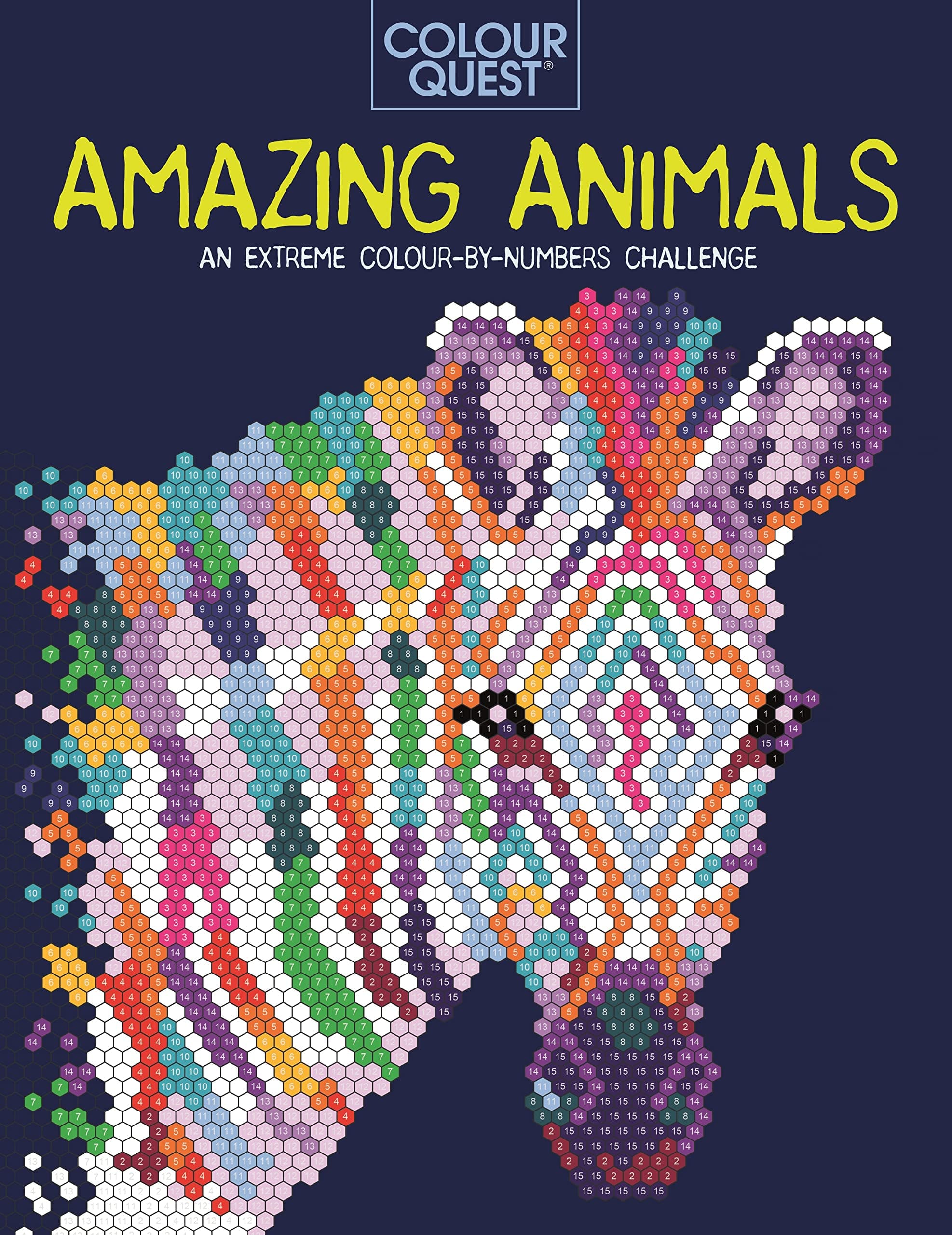 Colour Quest Amazing Animals