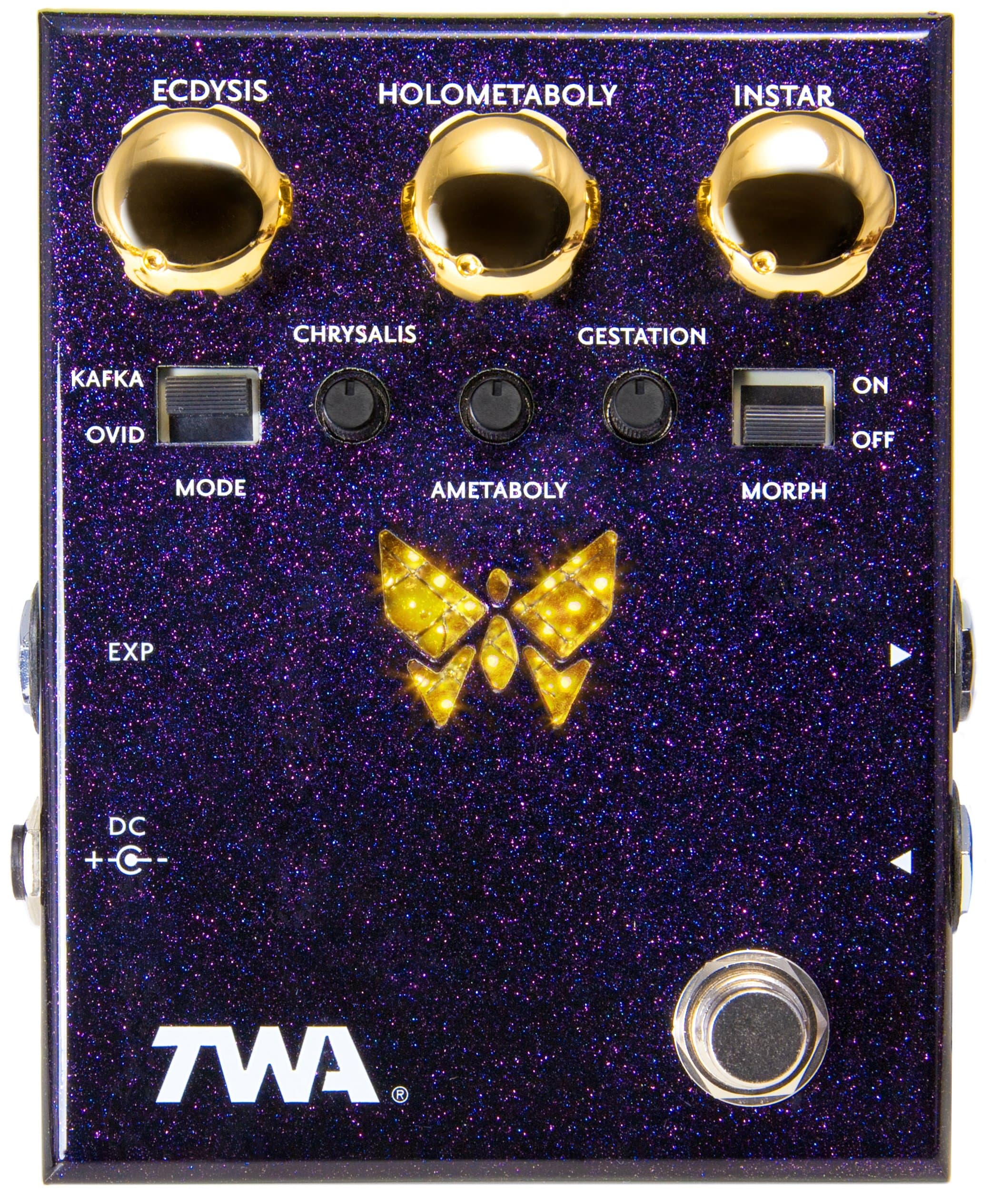 TWA Dynamorph Envelope-Controlled Harmonic Generator Guitar Effects Pedal (DM-02)