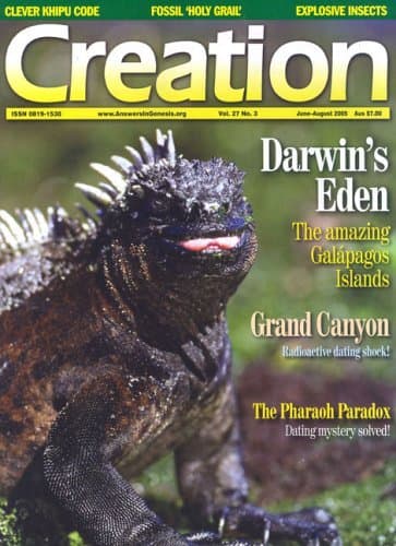 Creation - Australia