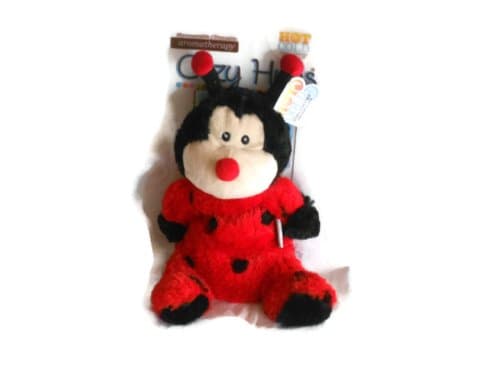 Cozy Hugs Ladybug