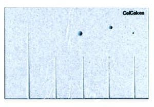CelCakes Sugarcraft Modelling Board - Small