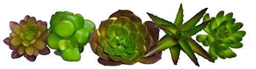 Provident Standard 5 Artificial Succulent Plants