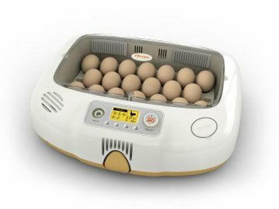 Stromberg's Rcom 20 Do Pro Incubator