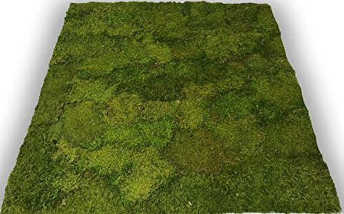 for Interior Wall Features