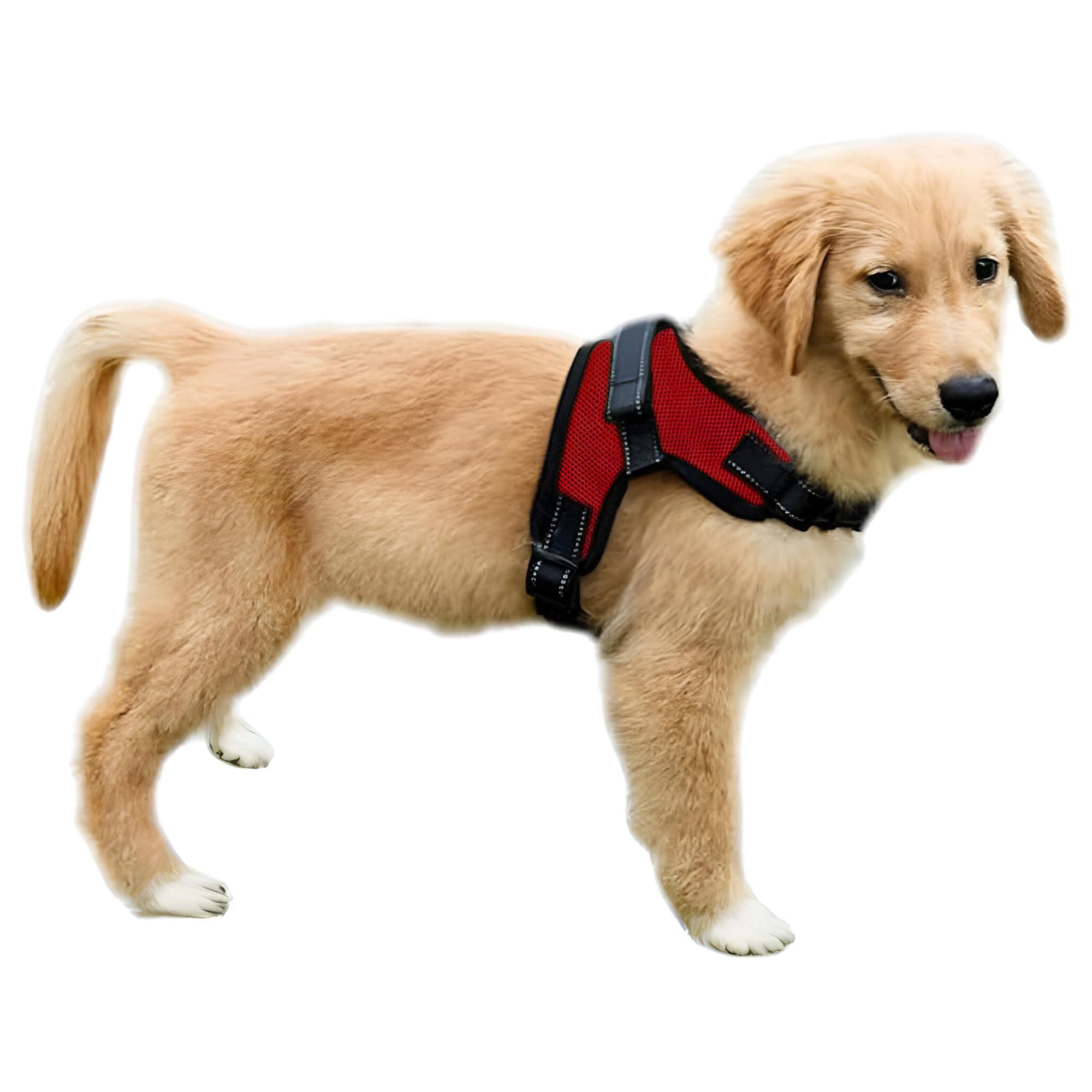 No Pull Reflective Adjustable Dog Harness With Handle- Comfortable Soft All Weather Mesh, Easy On Puppy Harness For Small Medium and Large Dogs (Red) Medium