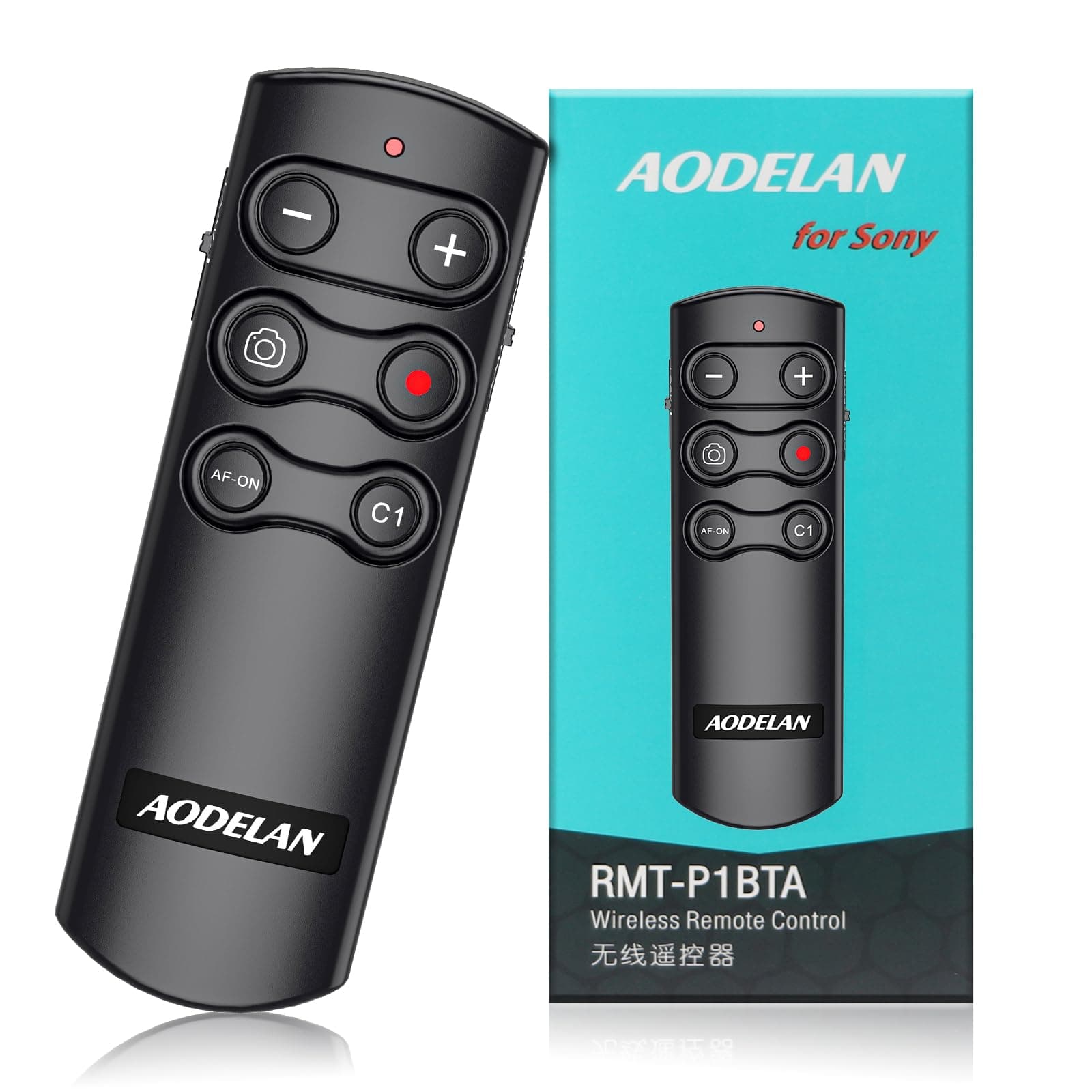 P1BTA Remote