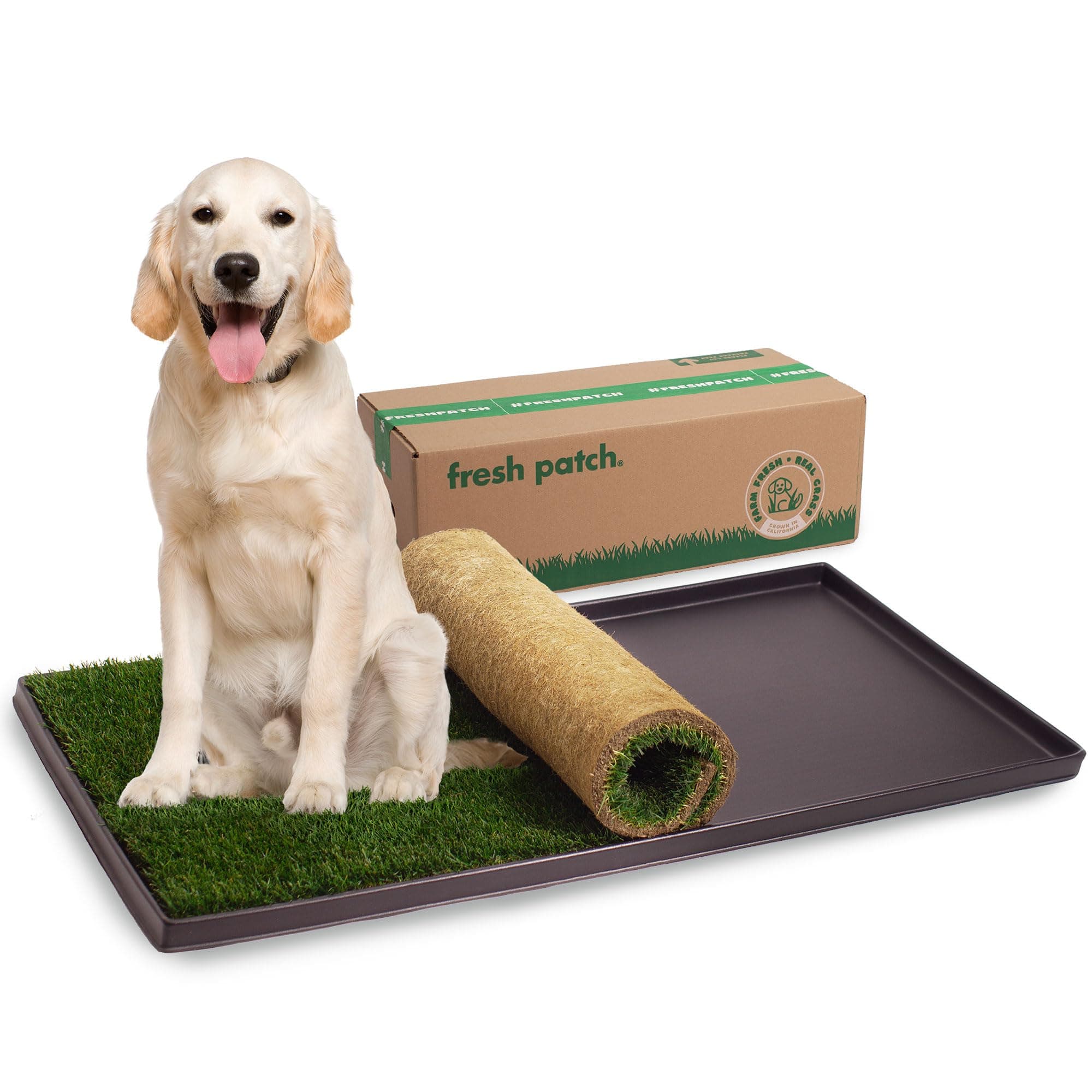 Fresh Patch Real Grass Patch for Dogs, Cats, and Extra Large Pets 30 Pounds and Above ā Disposable Pet Grass Pee Pads with Tray ā Indoor and Outdoor Potty Training Mat (24 Inches x 48 Inches)