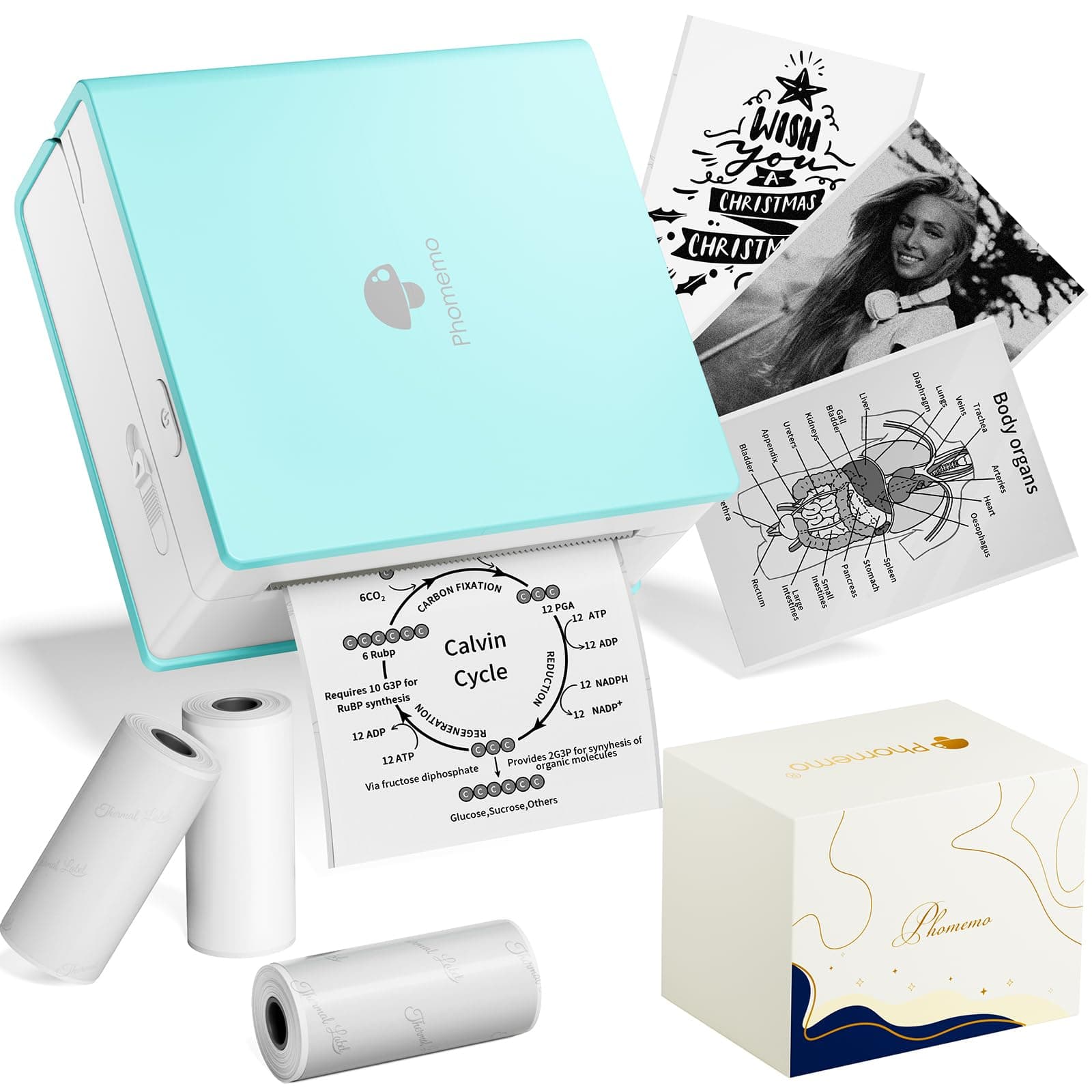 Phomemo M02 mini printer