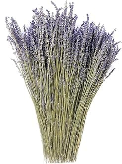 Dried Lavender Flowers Bundles 100% Natural Real Dry Flower for Home Decorations,Home Fragrance 350+ Stems
