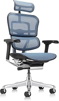 Eurotech ME7ERG GEN2 High Back Mesh Office Chair with Tilt Tension Control, Tilt Lock, Back Angle, Back Height, Synchro Tilt, Seat Height, Seat Depth, and Arm Height Adjustments, Blue