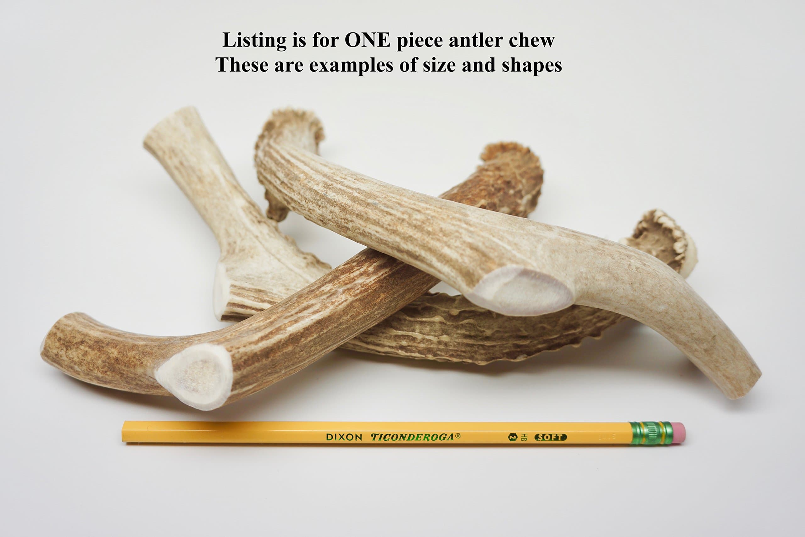 ONE (1) Extra Large sized Deer Antler Chew Bone For Large Dogs, 9" - 11" long, deer antler chew for large dogs 50-80 pounds, antler dog horn